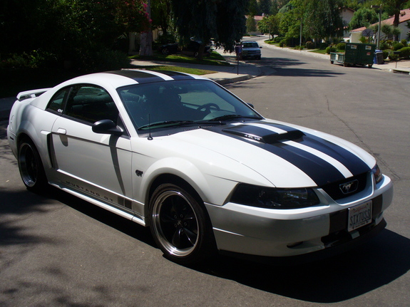 2003-white-black-mustang-gt-5.jpg